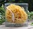 Natural sponge "Silk"